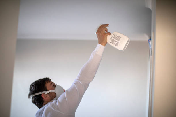 Best Mold Cleaning Services  in Frederickson, WA