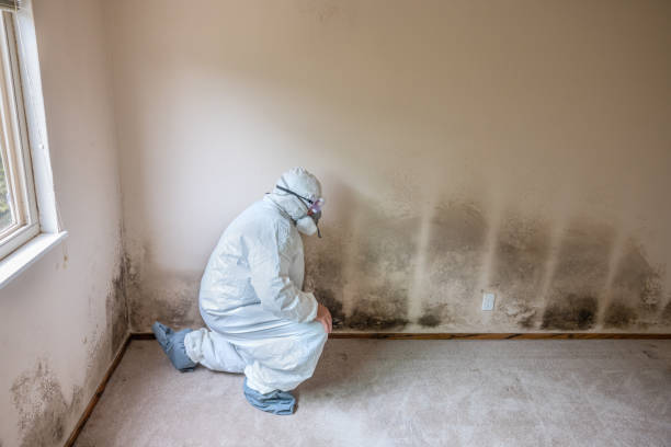 Best Toxic Mold Removal  in Frederickson, WA