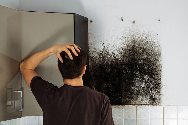Water Damage Restoration in Frederickson, WA